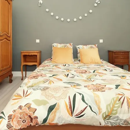 Maison Des Viennes *