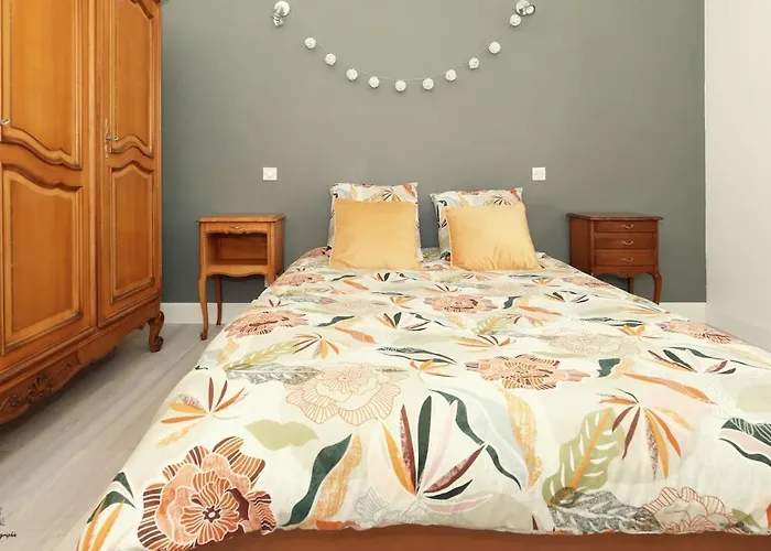 Maison Des Viennes *